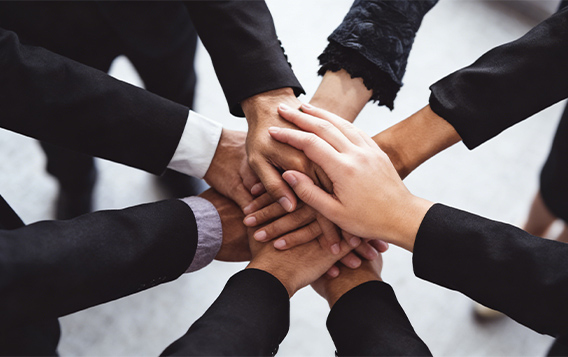 HAINING LILY CLEANING PRODUCTS CO.,LTD.